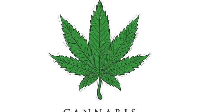 The High Life: Exploring the Benefits and Legality of Marijuana