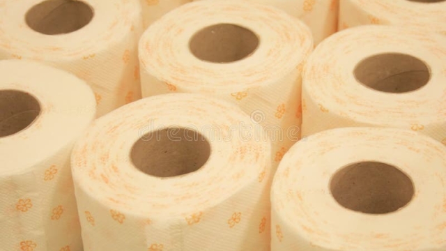 Sitting Pretty: Unraveling the Mysteries of Toilet Paper