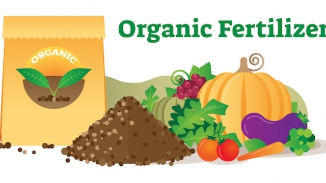 Revitalizing Your Garden: Harnessing the Power of Organic Soil and Fertilizer
