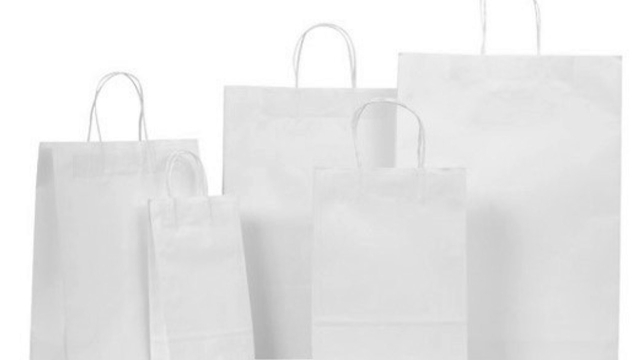Unveiling the Elegance: The Allure of White Paper Bags
