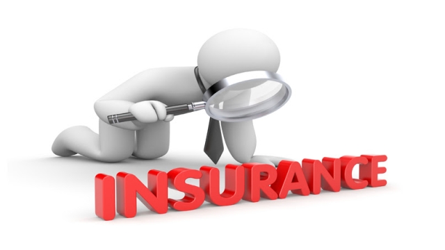 Shielding the Future: Small Business Insurance 101