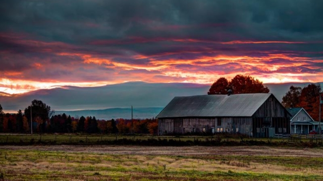 Unearthing the Bounty: Exploring the Magic of Coastal Farming