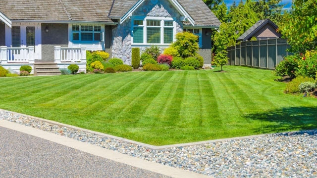 10 Expert Tips for a Luscious Lawn: Unlock the Secrets of Stunning Yard Care