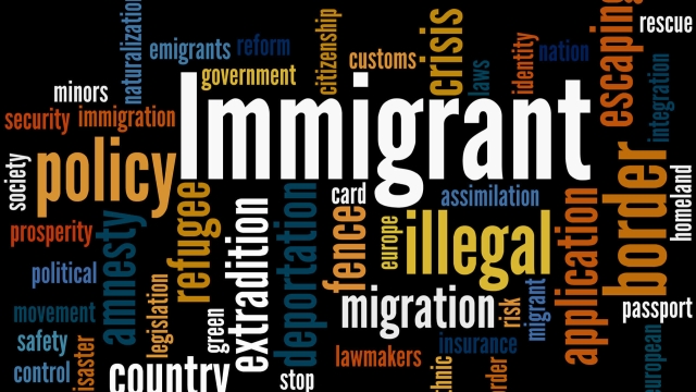 Behind the Scenes: The Role of an Immigration Paralegal