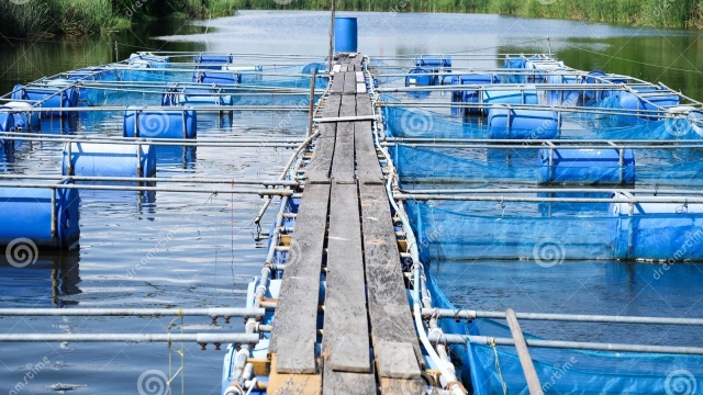 Revolutionizing the Tide: Innovative Technologies Shaping the Future of Aquaculture