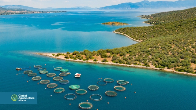 Revolutionizing the Waters: The Future of Aquaculture Technology