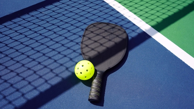 Pickleball Pandemonium: The Sport That’s Taking Over Courts and Hearts!