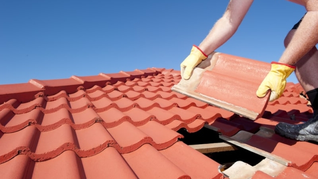 Raising the Roof: Innovative Trends and Tips for Your Next Roofing Project