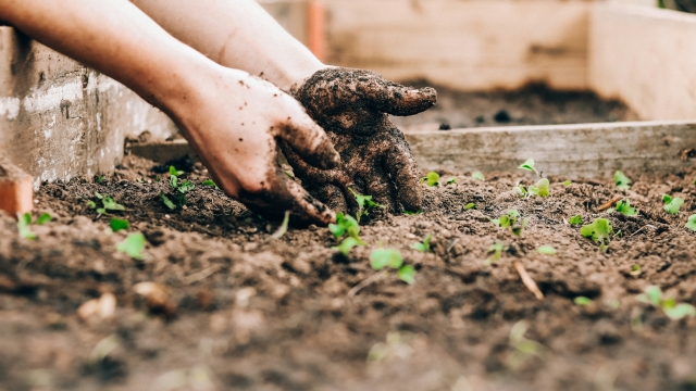 Philosophies Behind Today’s Farming Products