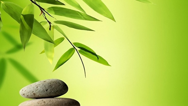 Exploring the Benefits of Thai Massage Therapy in London